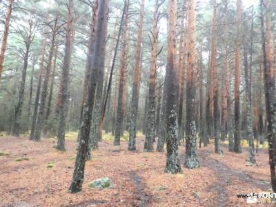 Bola del Mundo desde La Barranca por el Collado del Piornal y la Cuerda de las Cabrillas; mochila pa